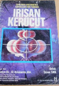 Irisan Kerucut