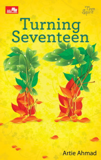 Image of Turning Seventeen