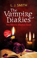 The Vampire Diaries : The Return Shadows Souls (#6)