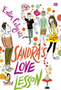 Image of Sandra's Love Lesson (TeenLit)