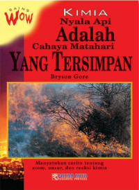 Image of Kimia : Nyala Api adalah Cahaya Matahari yang Tersimpan